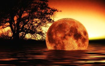 Illustration Mond und Wasser