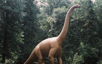 Dinosaurier lebten im Mesozoikum