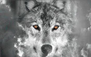 Fantasy-Geschichte: Eichensang