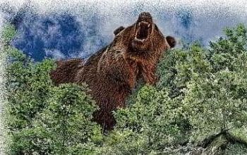 Horoskop-Bild Skorpion