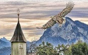 Horoskop-Bild Widder