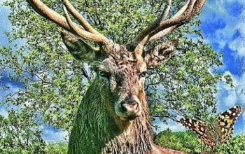 Horoskop-Bild Zwillinge