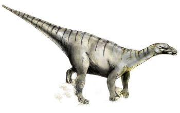 Iguanodon Lebendrekonstruktion