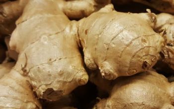 Ingwer Gewürz