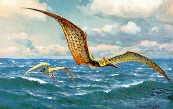 Flugsaurier Pterosaurier