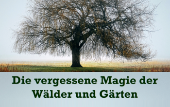 Magie der Wälder und Gärten