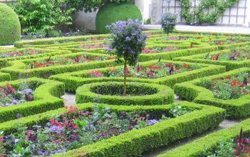 Buchsgarten zu Weihenstephan