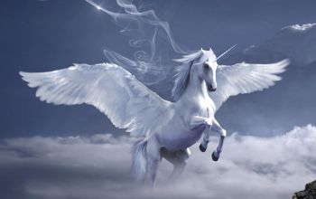 Krafttiere: Der Pegasus