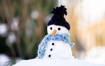 Welttag des Schneemanns