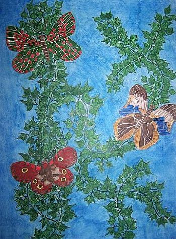 Schmetterlingszauber