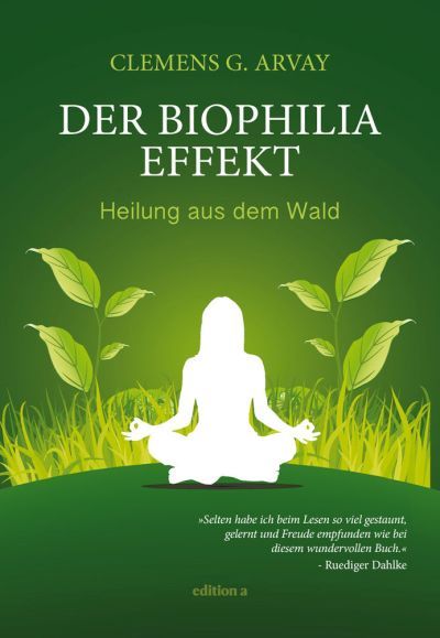 Biophilia-Effekt. Heilung aus dem Wald