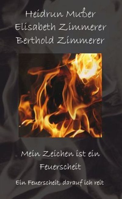 Glaubensschwester sucht Glaubensbruder Buch lesen: Glaubensschwester sucht Glaubensbruder