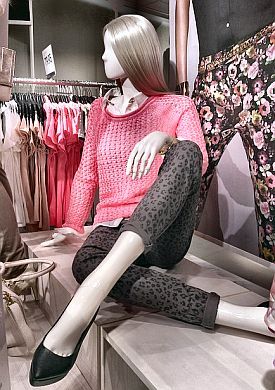 Graue Maus erfinde dich neu