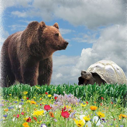 Horoskop-Bild Jungfrau