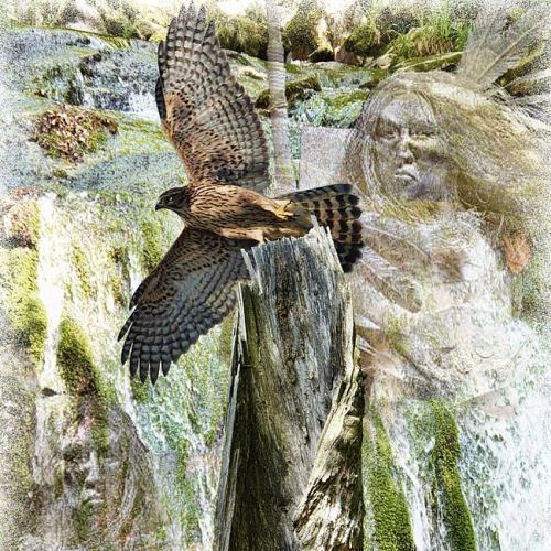 Horoskop-Bild Löwe
