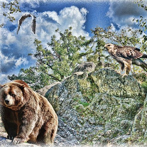 Horoskop-Bild Schütze