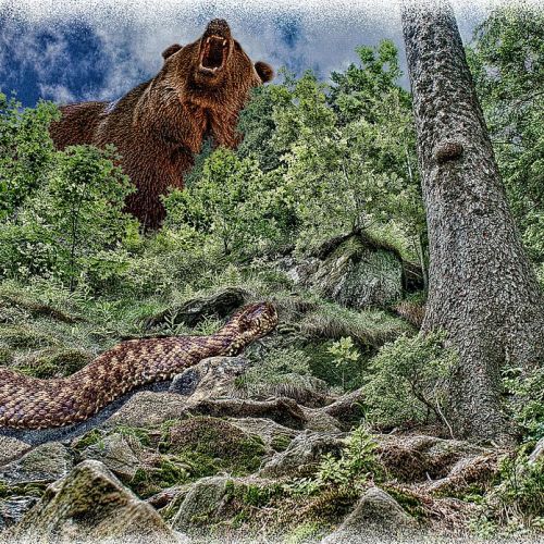 Horoskop-Bild Skorpion