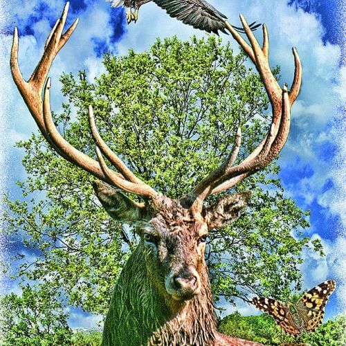 Horoskop-Bild Zwillinge