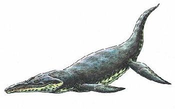 Kronosaurus