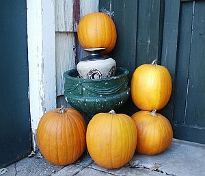 Mehrere Kürbisse