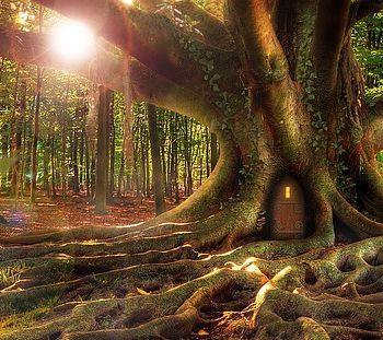 Zwei im großen Wald