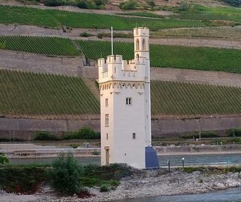 Mäuseturm zu Bingen