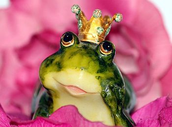 Sei kein Frosch