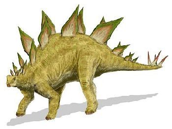 Stegosaurus