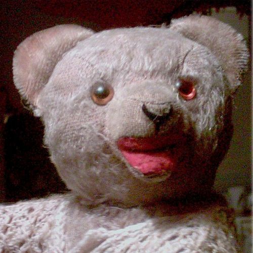 Weihnachtsgeschichte Teddy