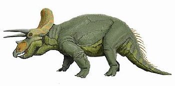 Triceratops