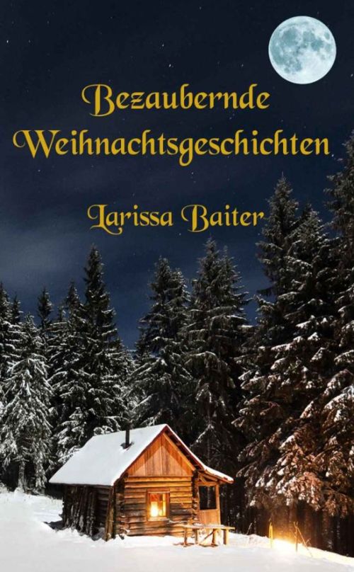 Weihnachts-Buch der Autorin Larissa Baiter