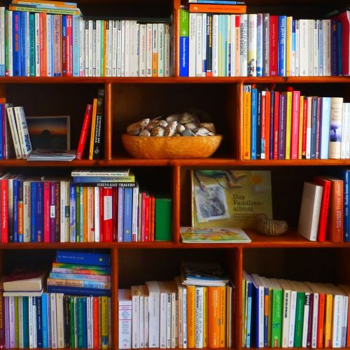 Bücher Bücherregal