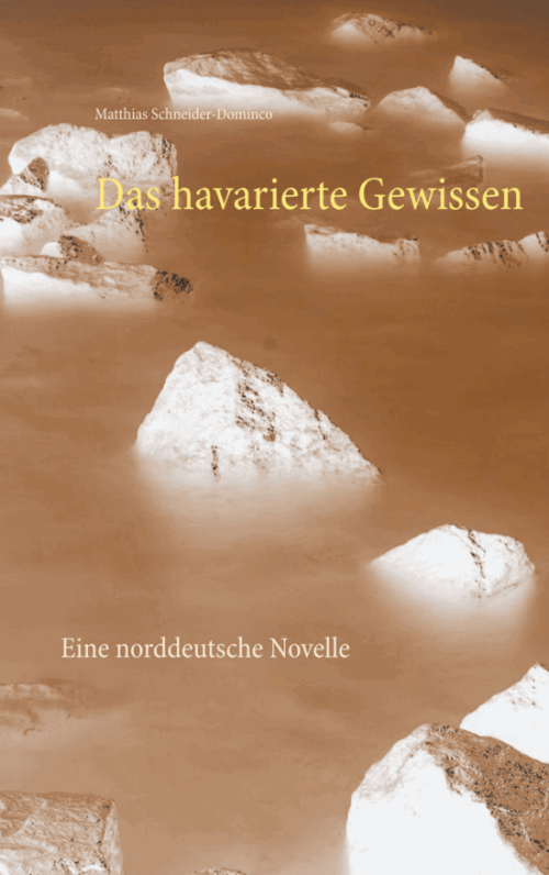 Novelle: Das havarierte Gewissen