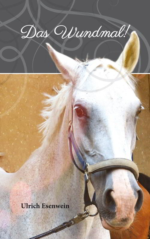 Ulrich Esenwein: Das Wundmal