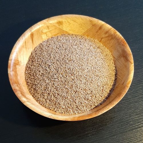 Flohsamen Ernährung