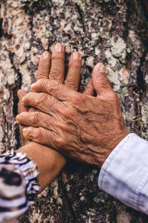 Couple shake hands