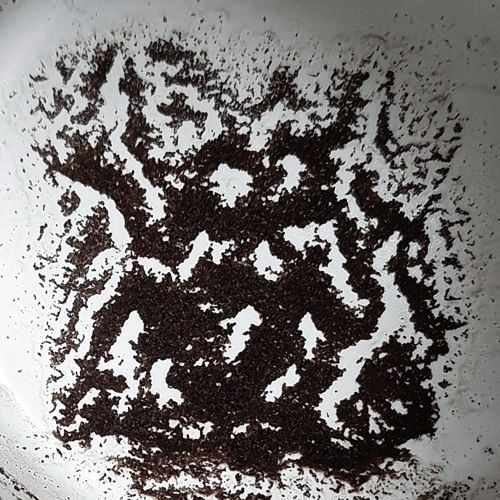 Coffee grounds: Giant ant