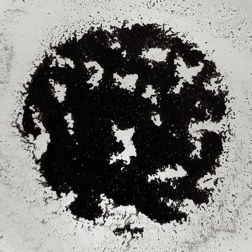 Coffee grounds: Tree