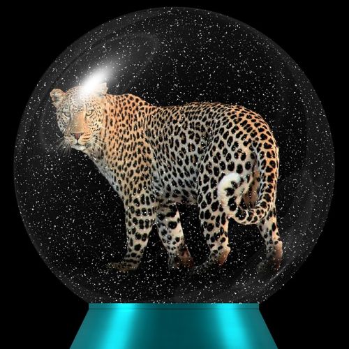 Mit Krafttieren kommunizieren