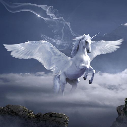 Krafttiere: Der Pegasus