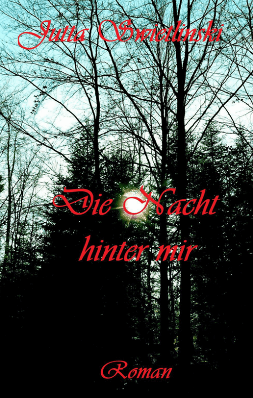 Roman: Die Nacht hinter mir