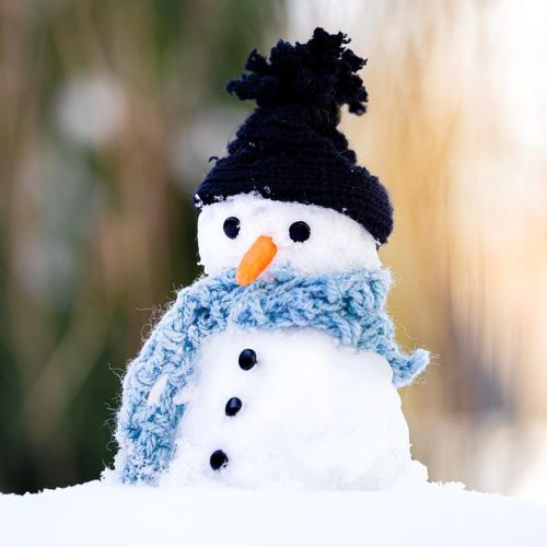 World Snowman Day