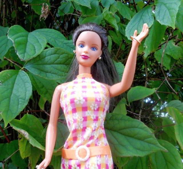 Pretty in Plaid Barbie Kestrel winkt